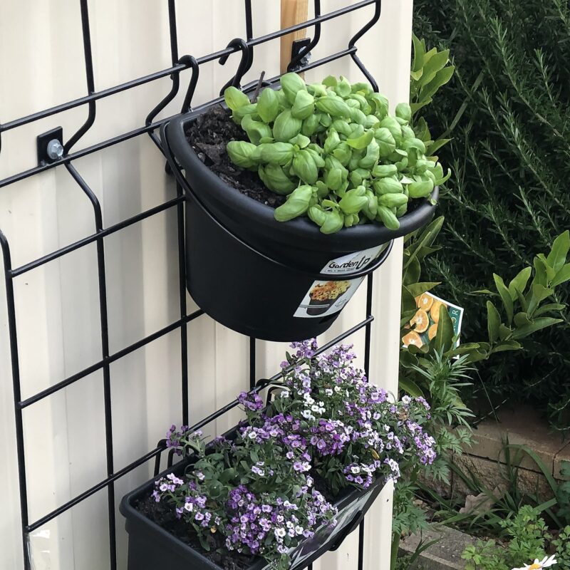 18100 Garden Up terrace wire hook lifestyle credit: herkitchengarden