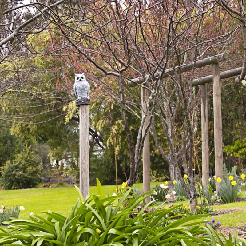 18405 Motion Sensor Owl
