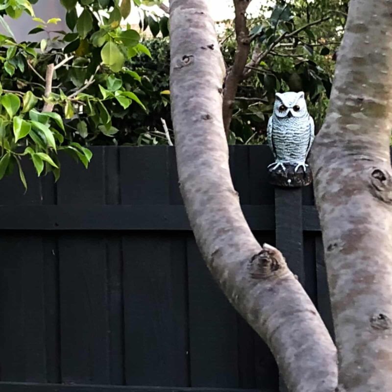 18405 Motion Sensor Owl