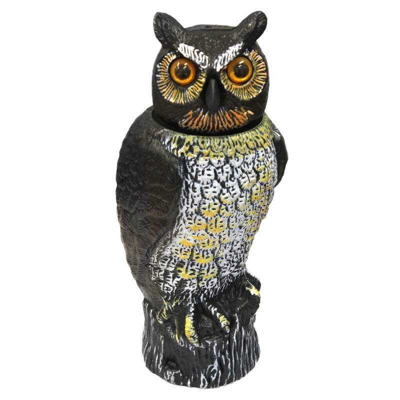 18406 Bobble Head Owl