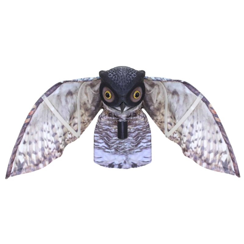 18409 Prowling Owl