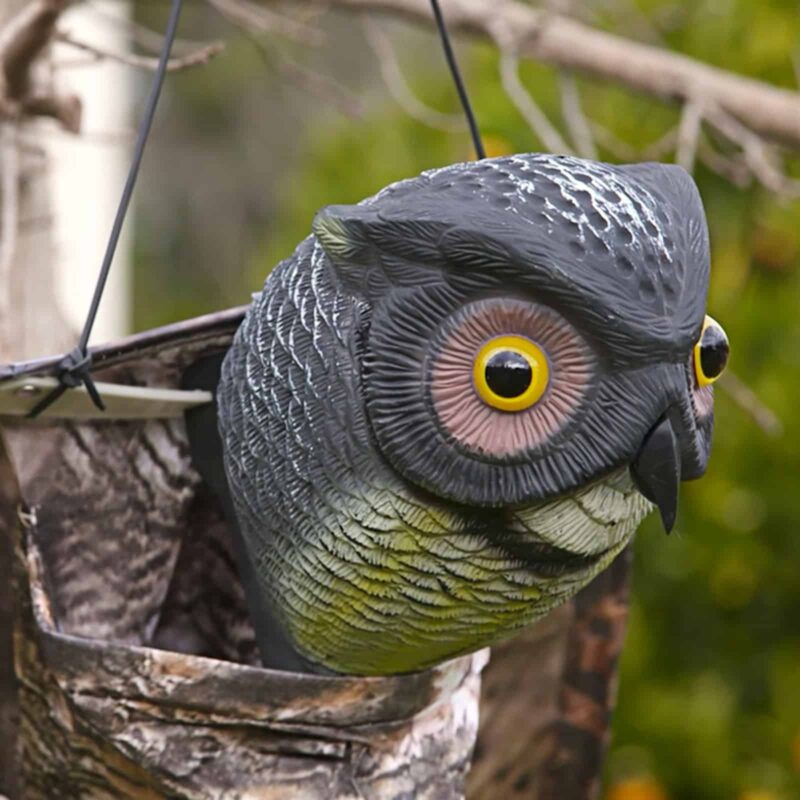 18409 Prowling Owl