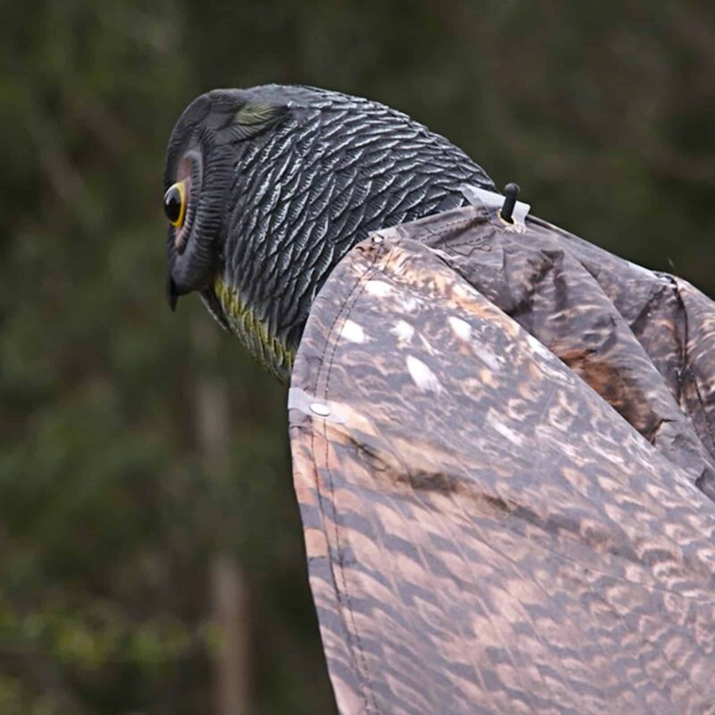 18409 Prowling Owl