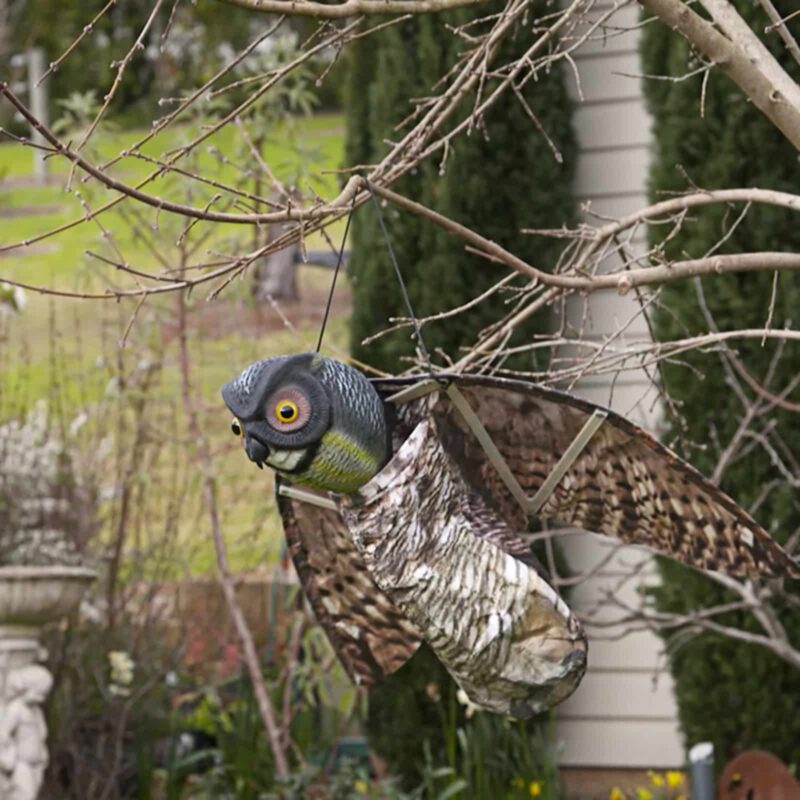 18409 Prowling Owl