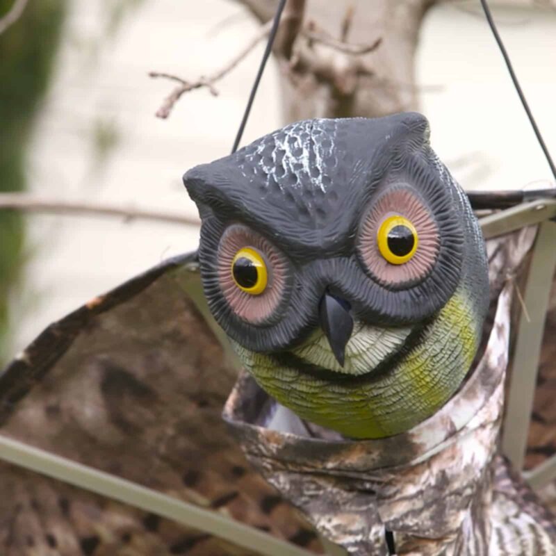 18409 Prowling Owl