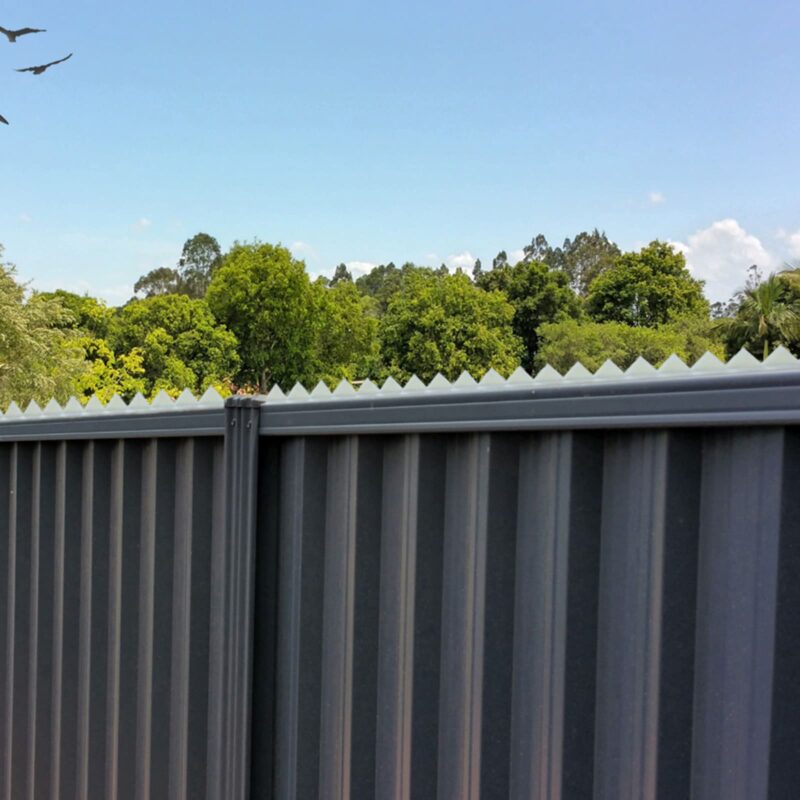 18414 Pest Fence Spikes 600mm Clear Lifestyle