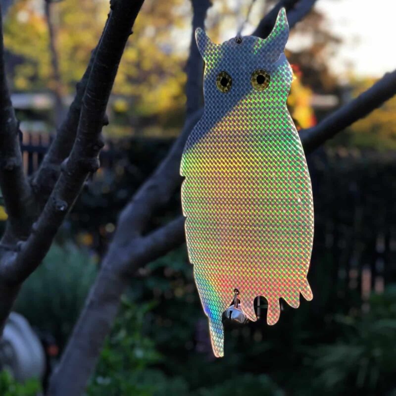 18416 Reflective Owl+Bell