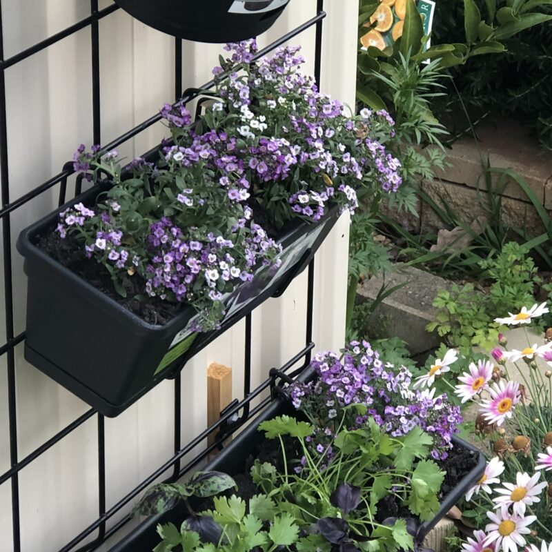 18440 Garden Up herb pot charcoal lifestyle credit: @herkitchengarden