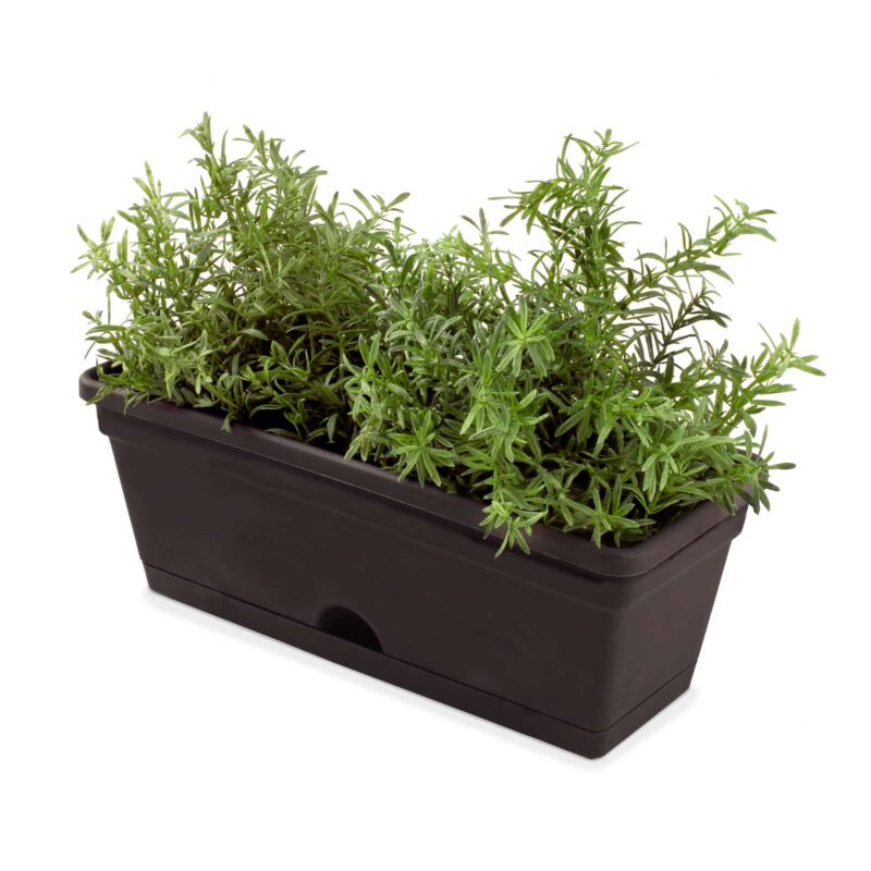 18440 Garden Up herb pot charcoal