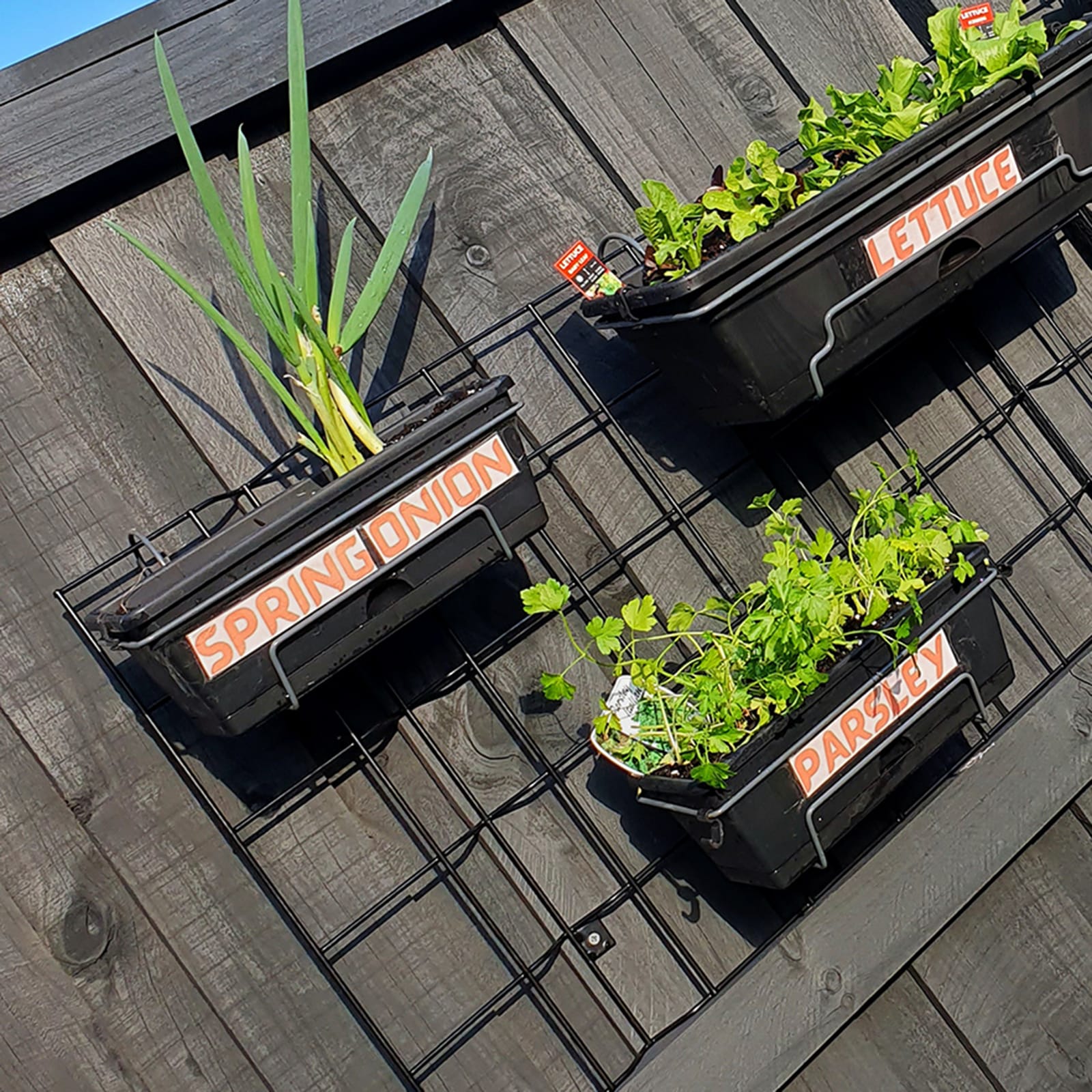 18440-garden-up-herb-pot-charcoal-rakshaprasad-lifestyle
