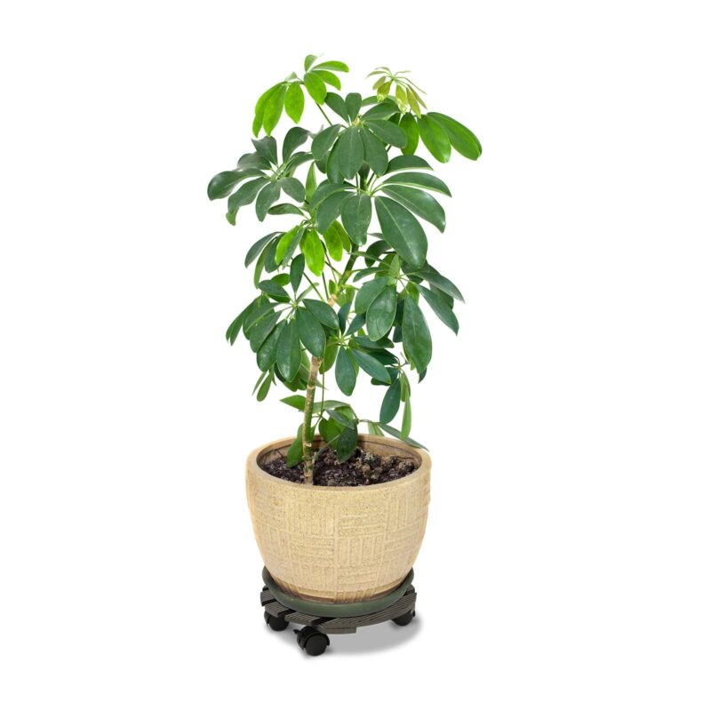 18530 Wood-Poly Composite Round charcoal 29cm Lifestyle