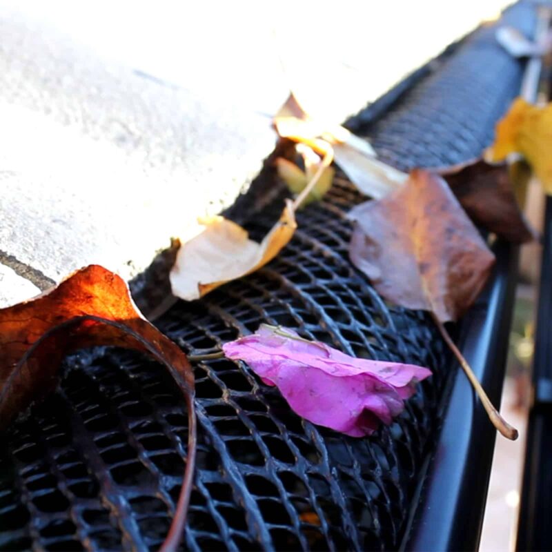 20007 Staymesh Ultra Strip In Gutter With Leaves