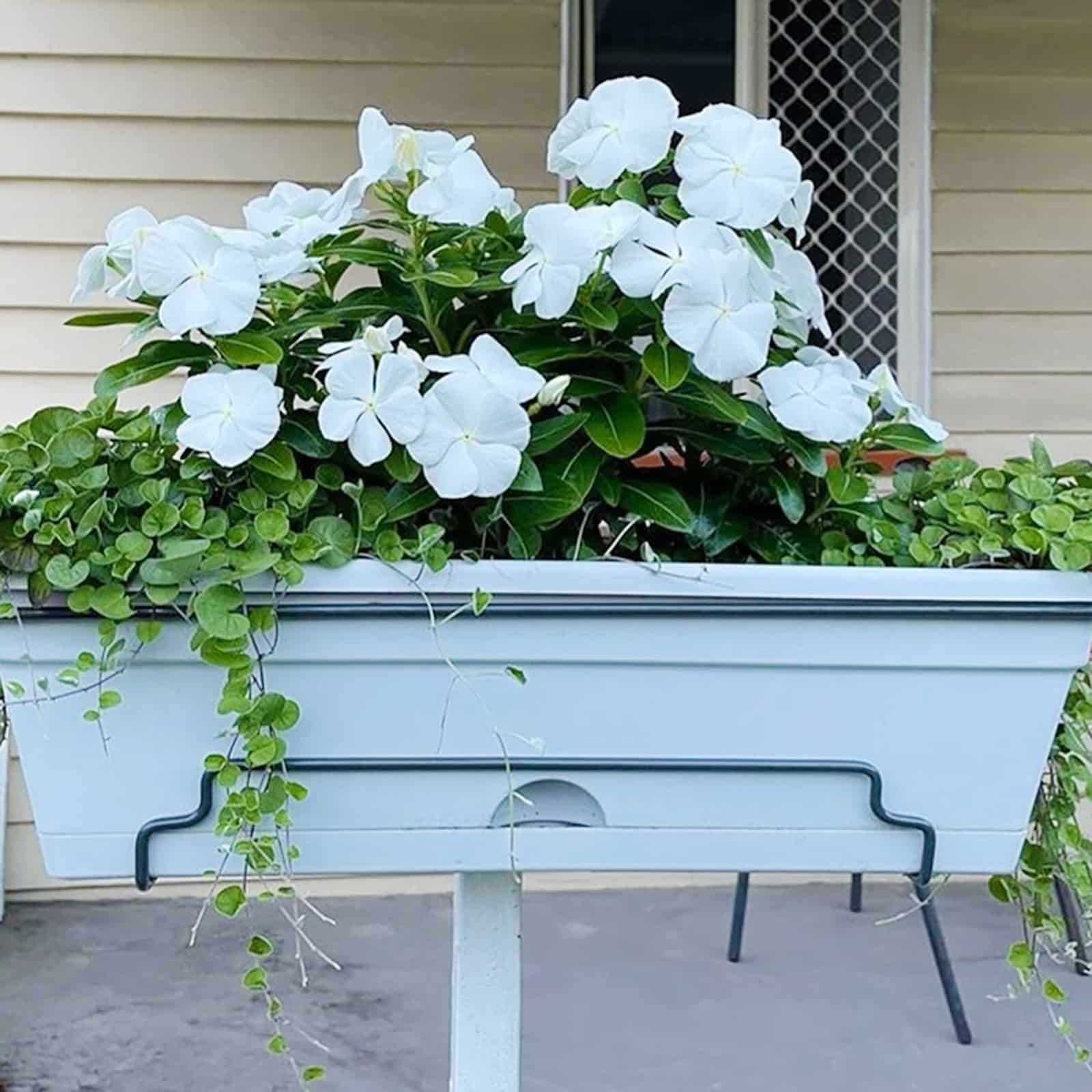 garden-up-classic-planter-concrete-grey-orangetreeonalice-lifestyle