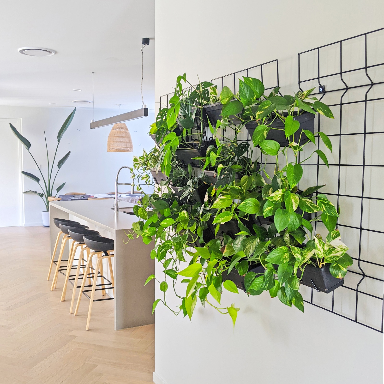 garden-up-classic-pots-followmemedia-lifestyle