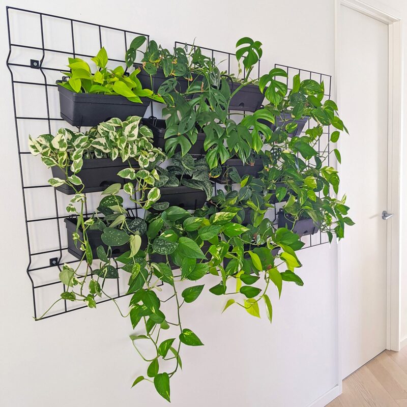 Garden Up Mesh Grid Lifestyle