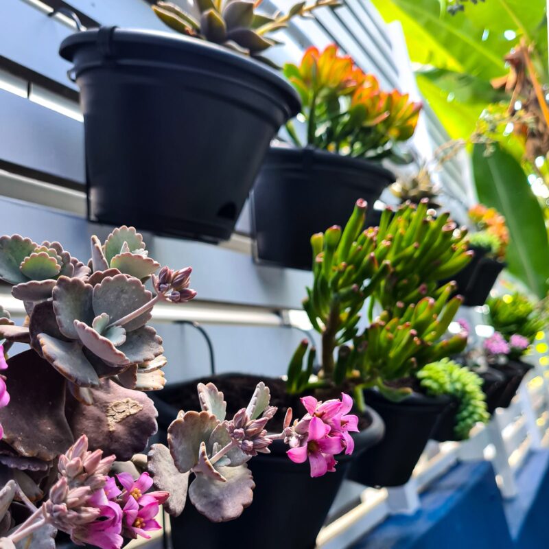 18424 Garden Up terrace planter lifestyle - credit: @toptiergardening