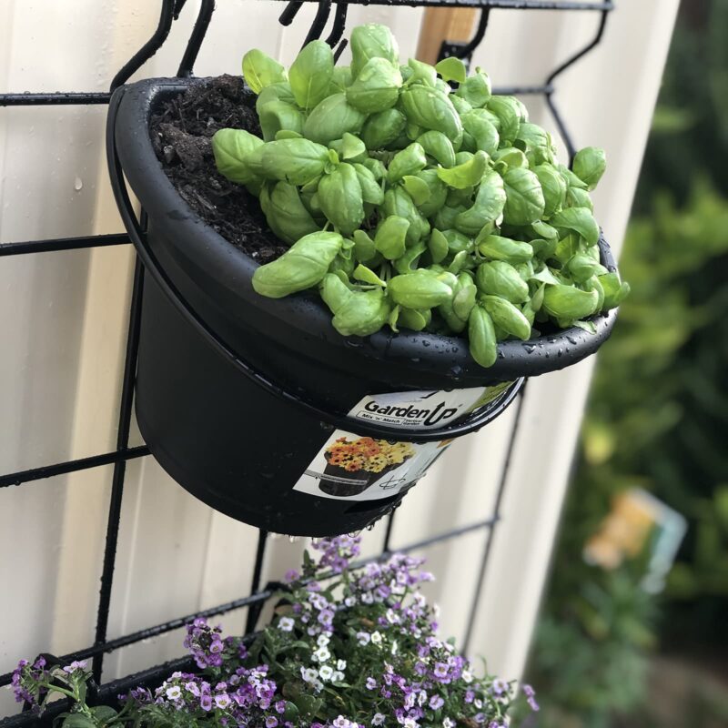 18441 Garden Up terrace pot charcoal lifestyle credit: @herkitchengarden