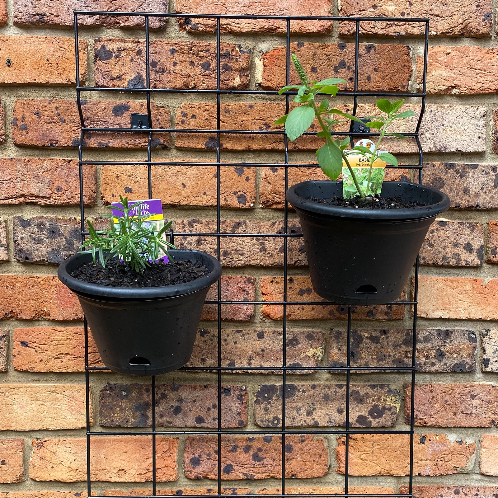 garden-up-terrace-pot-lifestyle