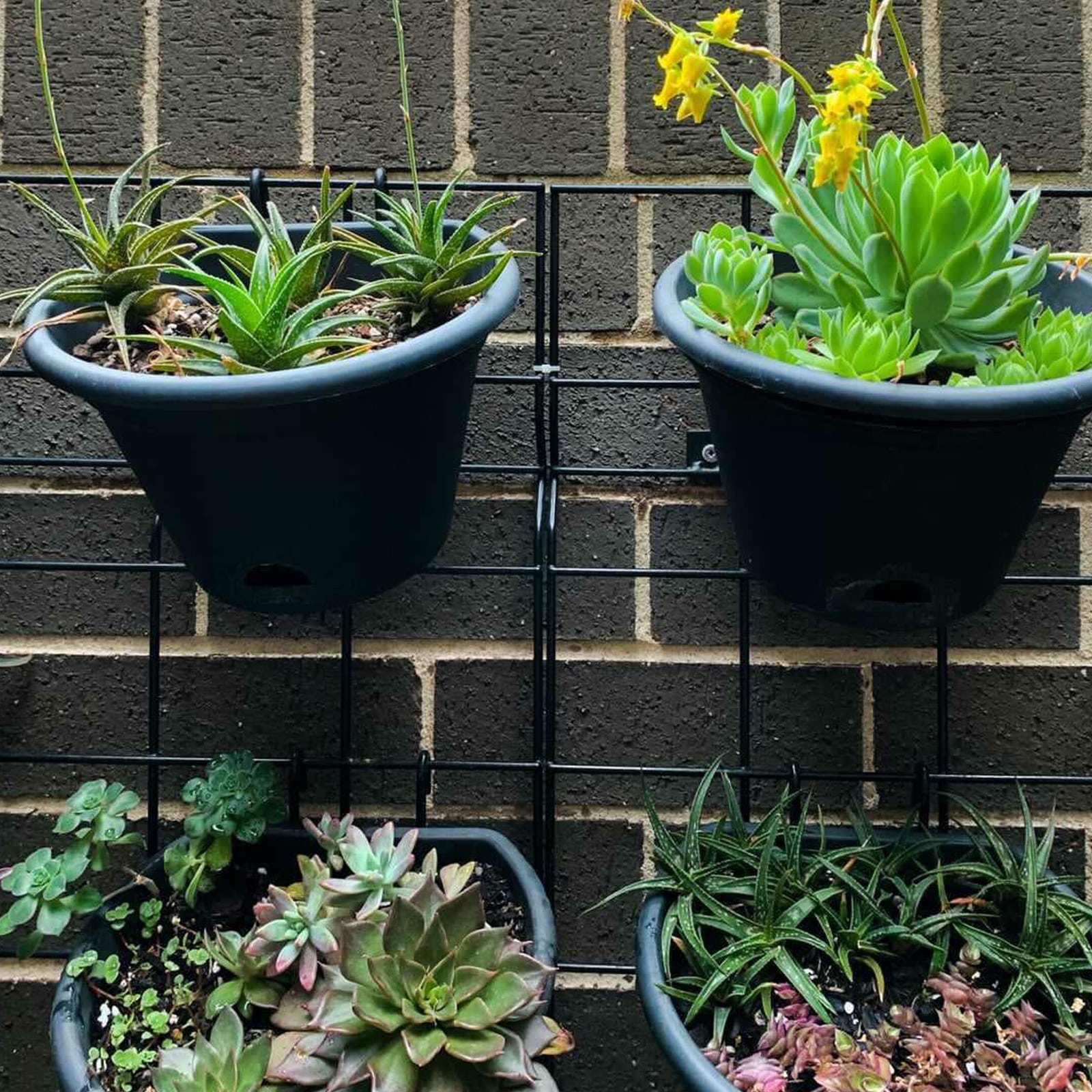 garden-up-terrace-pots-theleafyroom-lifestyle