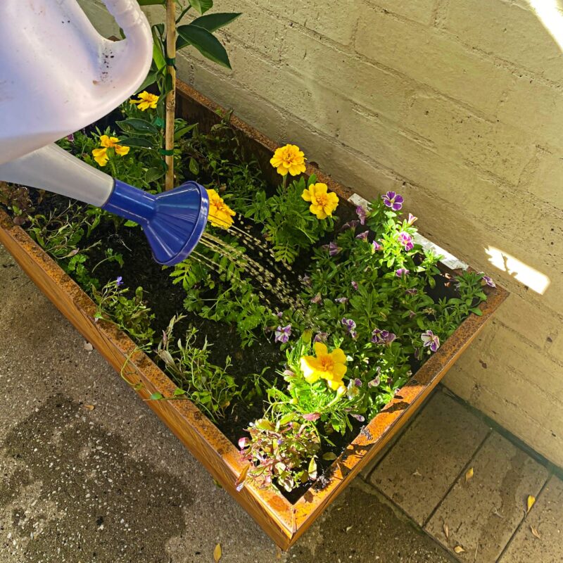 Casa planter lifestyle credit: @plantshappen