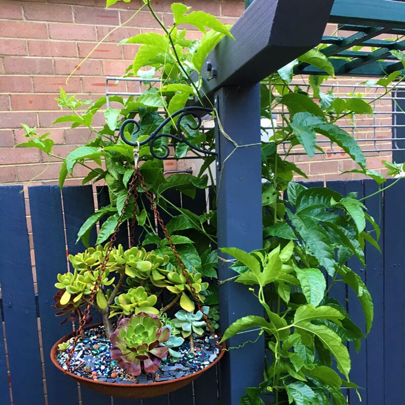 18800 Copa hanging planter lifestyle