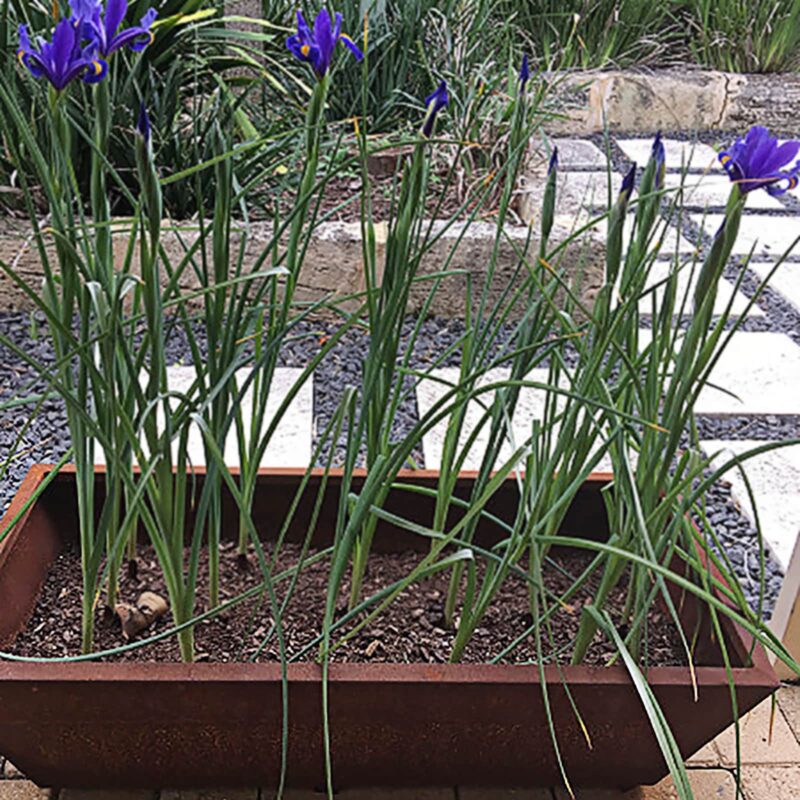 18482 Copa planter lifestyle