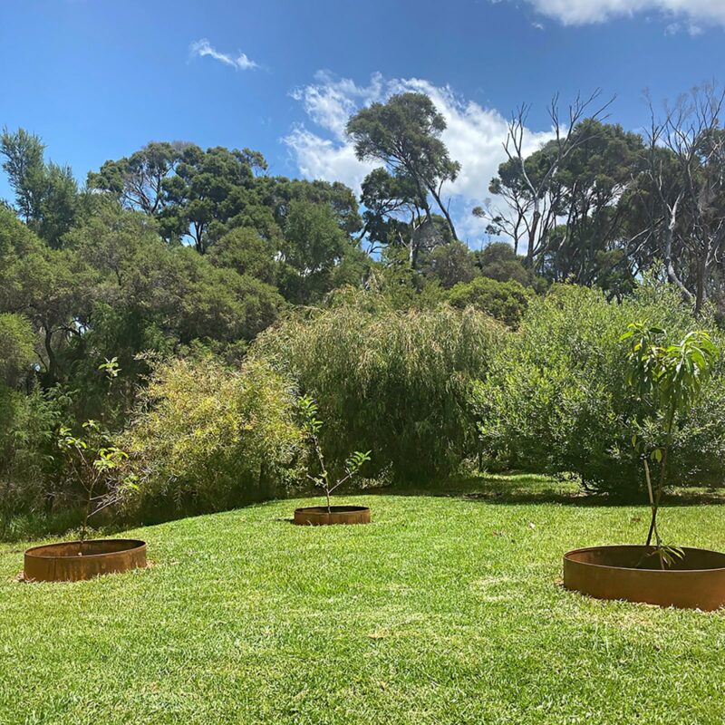 18462 Podium landscape rings lifestyle credit: @in_my_patch_