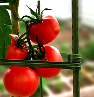 Product category image - Plant growing and protection