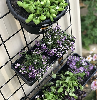 Product category image - Plant stands and pots - photocredit @herkitchengarden