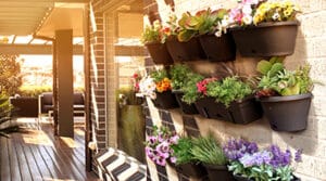Garden Up