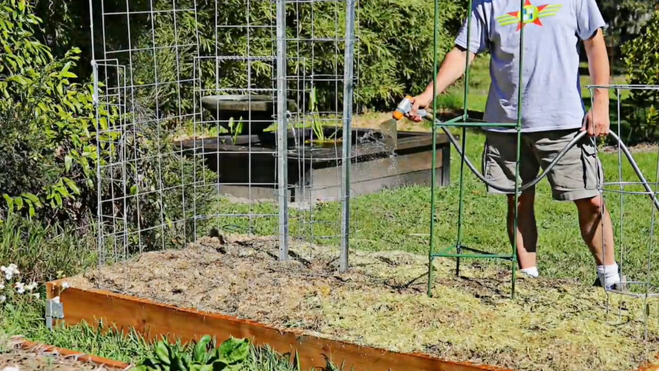 watering your garden Jack support up