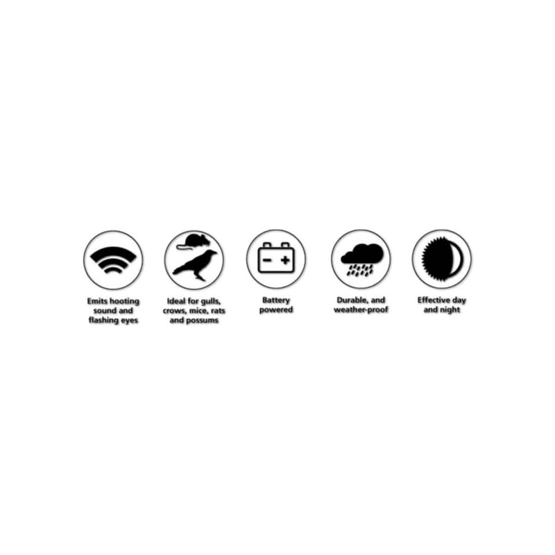 18405 Motion Sensor Owl