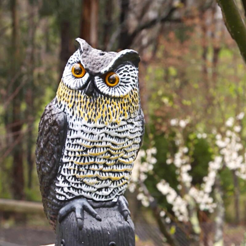 18408 Solar Power Owl
