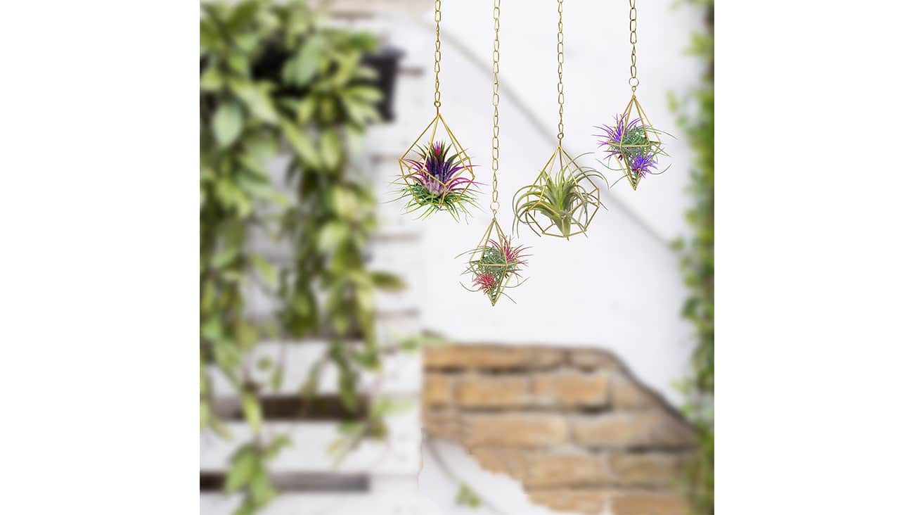 garden up air planters hanging