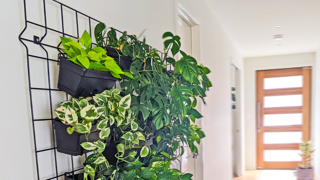 garden-up-classic-pots-followmemedia-lifestyle3