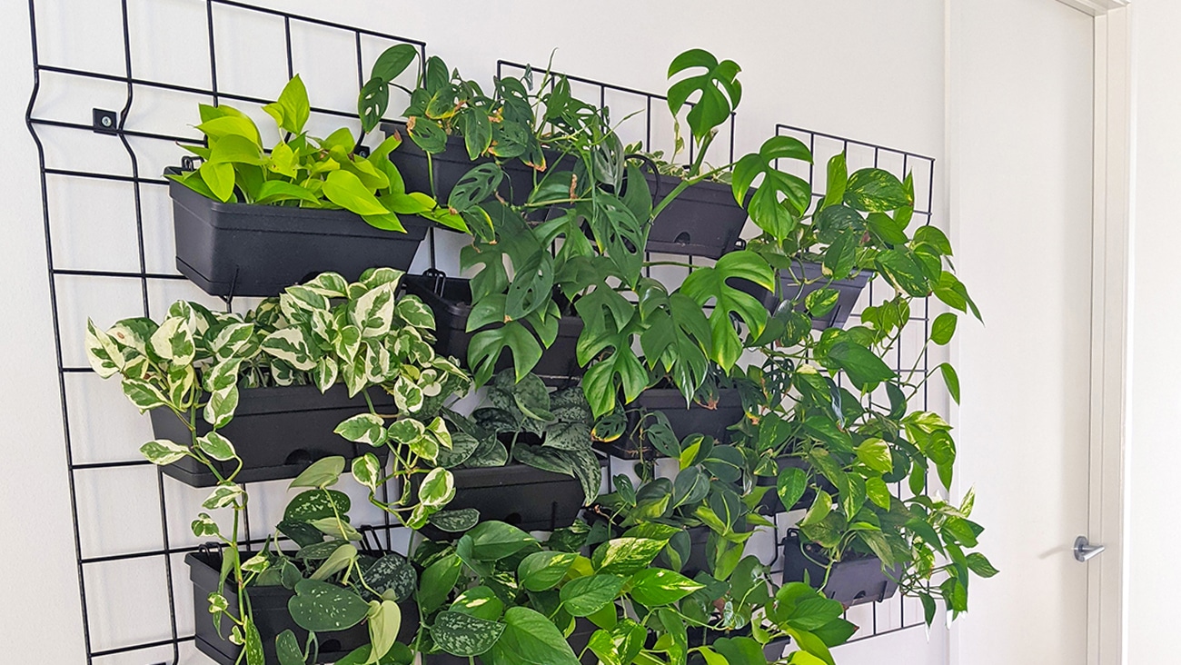 garden-up-mesh-grid-followmemedia-lifestyle2