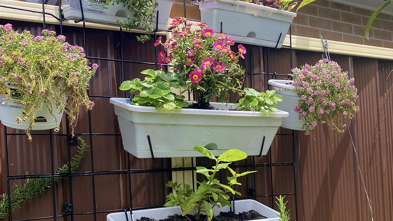 garden-up-mixnmatch-herkitchengarden-lifestyle2-1