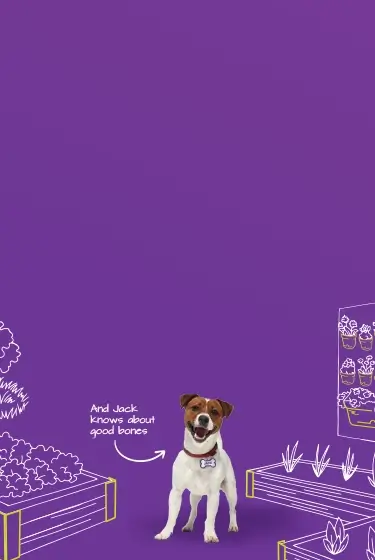 Jack Homepage Banner Mobile 2