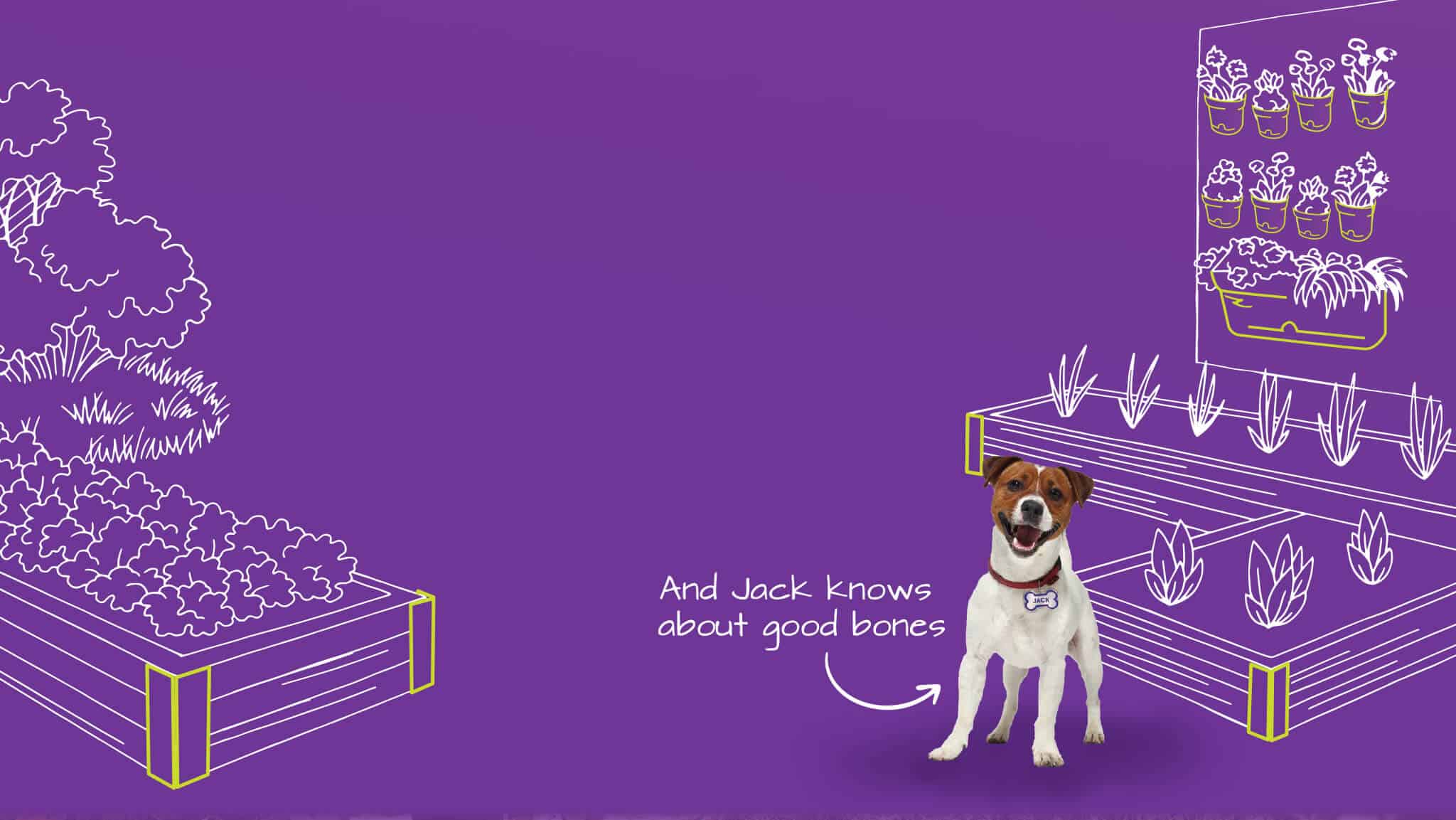 Jack Homepage Banner