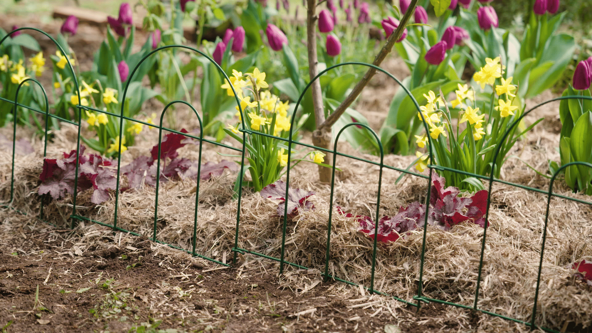 Garden Edging_Borderingyourgarden