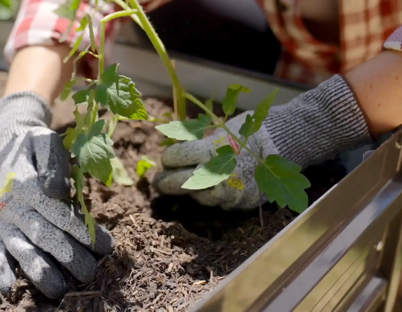 jack-garden-design-ideas-maintenance-2