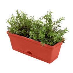 Jack Garden up mix n match Herb Planter18683