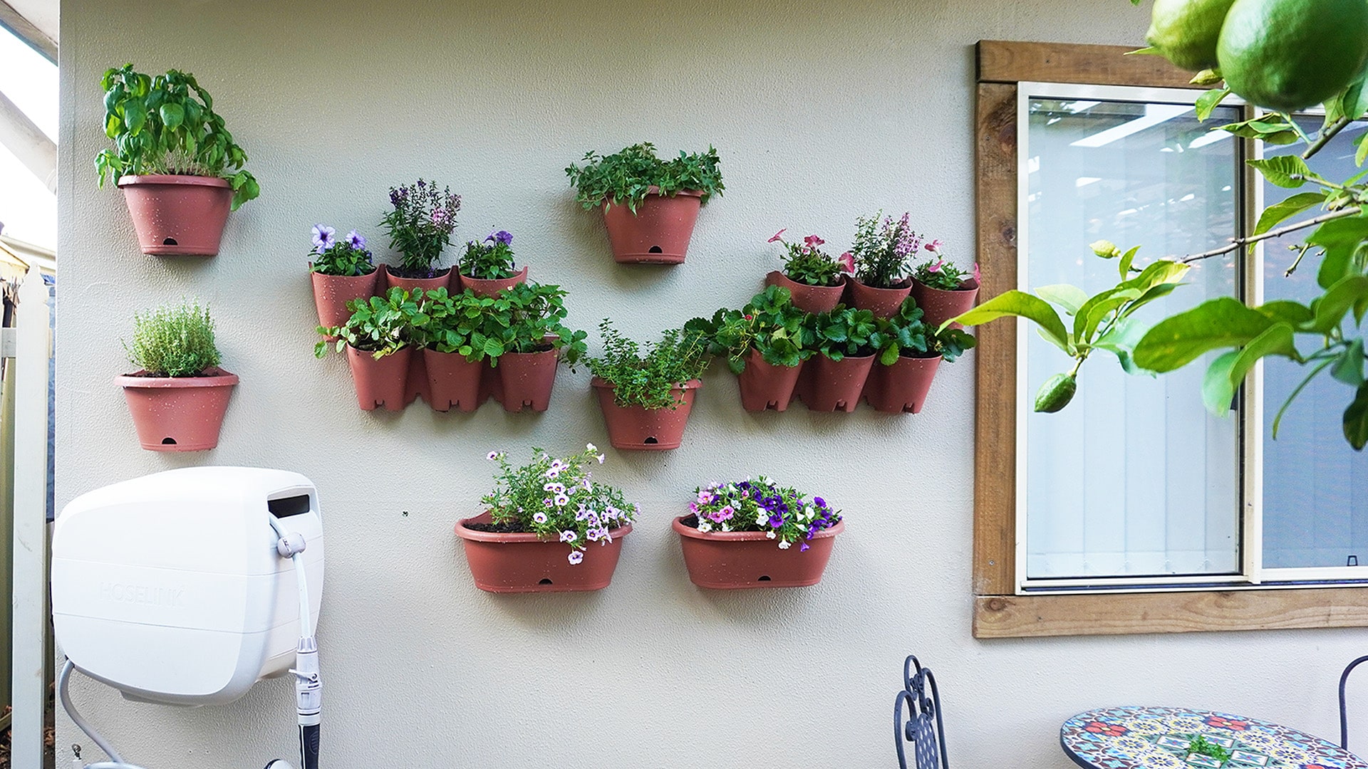 Grouped wall-mounted garden pots with assorted plants, perfect for vertical gardening in compact outdoor areas.